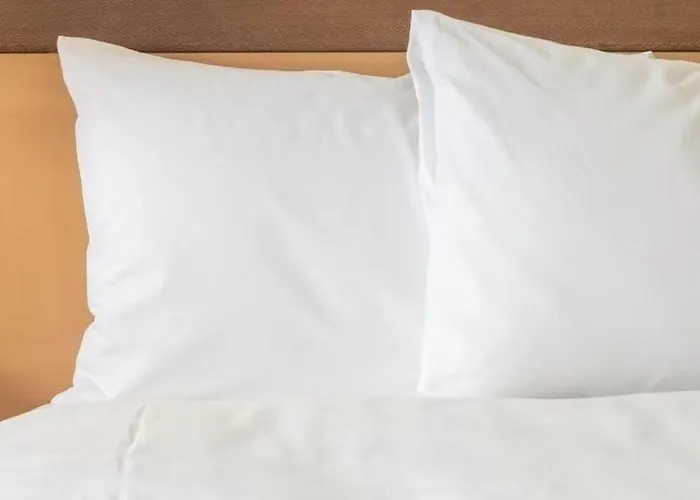 Hotel 1521 &